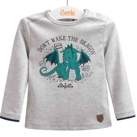 Marškinėliai berniukui "Dragon"