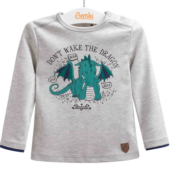 Marškinėliai berniukui "Dragon" Marškinėliai berniukui "Dragon"