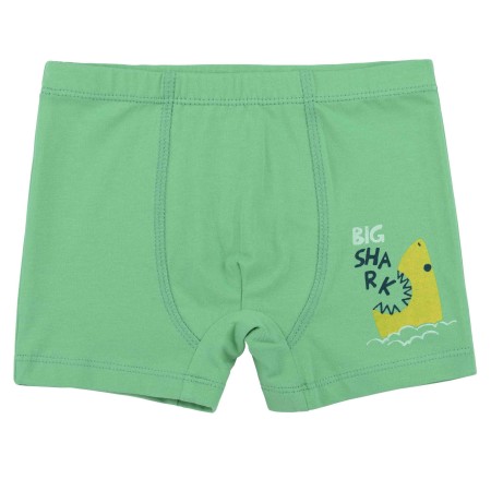 Apatiniai šortukai "Dino"
