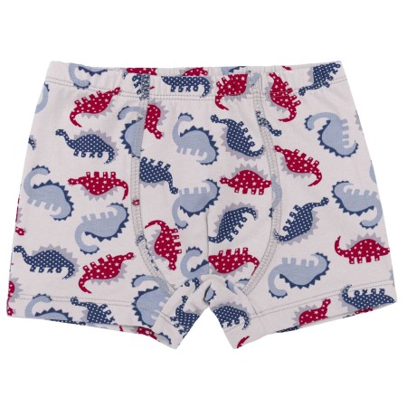 Apatiniai šortukai "Dino"