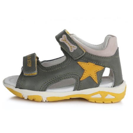 Pilkos basutės 19-24 d. AC290262B